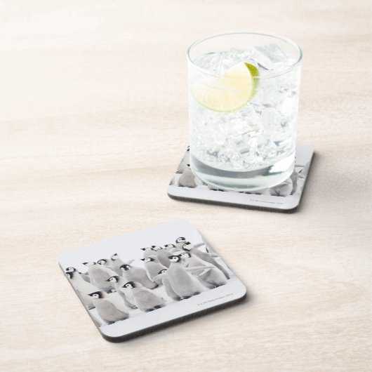 Kaiser-Pinguin Untersetzer (Rechte Seite)