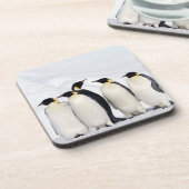 Kaiser-Pinguine Getränkeuntersetzer (Linke Seite)