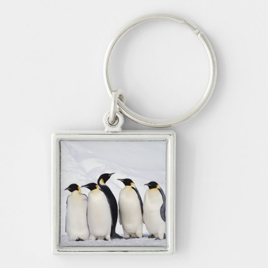 Kaiser-Pinguine Schlüsselanhänger (Vorne)