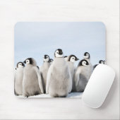 Kaiser-Pinguinküken - Mausunterlage Mousepad (Mit Mouse)