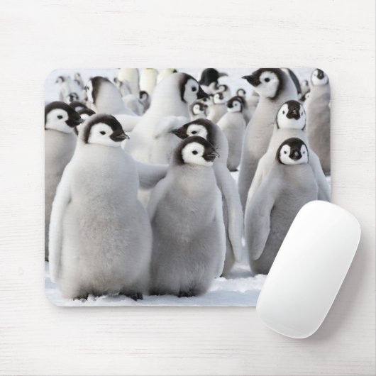 Kaiser-Pinguinküken Mousepad (Mit Mouse)