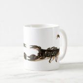 Kaiser-Skorpions-Tasse/Schale Kaffeetasse (VorderseiteRechts)