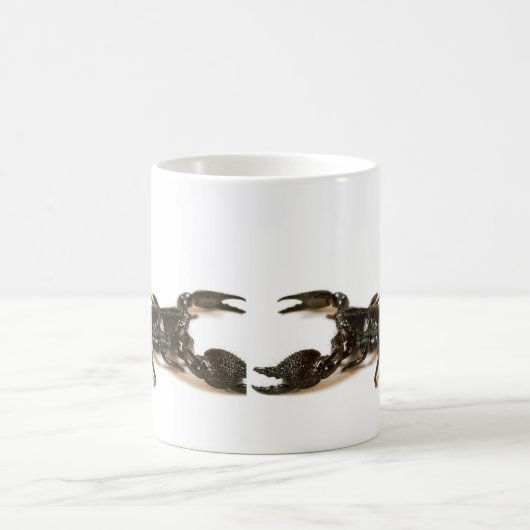 Kaiser-Skorpions-Tasse/Schale Kaffeetasse (Mittel)