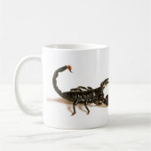 Kaiser-Skorpions-Tasse/Schale Kaffeetasse (Links)