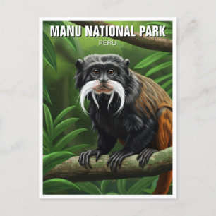 Kaiser Tamarin im Nationalpark Manu Peru Postkarte