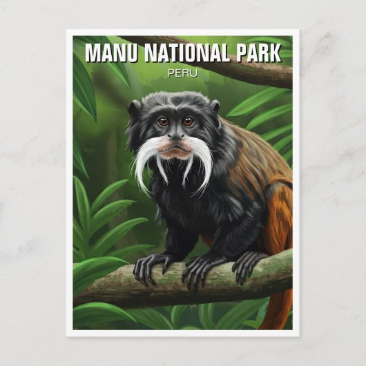Kaiser Tamarin im Nationalpark Manu Peru Postkarte (Vorderseite)