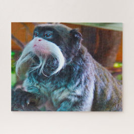 Kaiser Tamarins Monkey. Puzzle