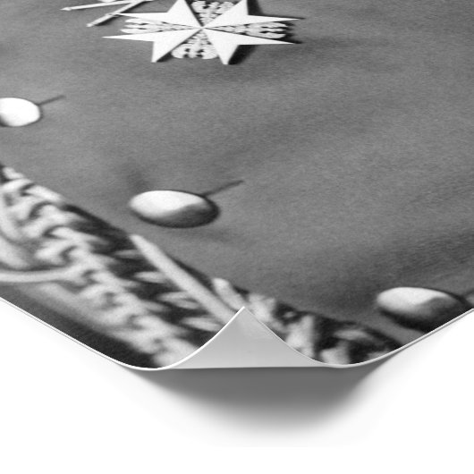 Kaiser Wilhelm II Portrait - 1902 Poster (Ecke)