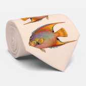 Kaiserangelbuch Krawatte (Gerollt)