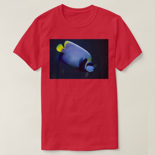 Kaiserangelfisch T-Shirt (Design vorne)