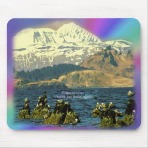 Kaisergänse an der Chiniak Bay bei Chiniak, Alaska Mousepad
