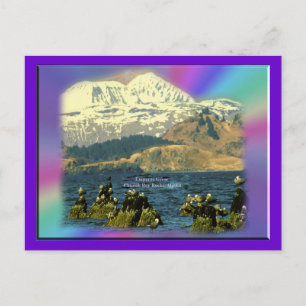 Kaisergänse an der Chiniak-Bucht in der Nähe von C Postkarte