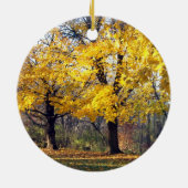 Kaisergranat Keramikornament (Hinten)