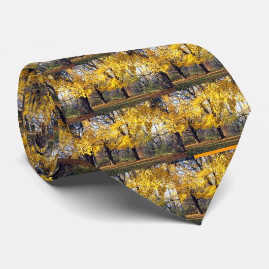 Kaisergranat Krawatte (Gerollt)