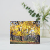 Kaisergranat Postkarte (Stehend Vorderseite)