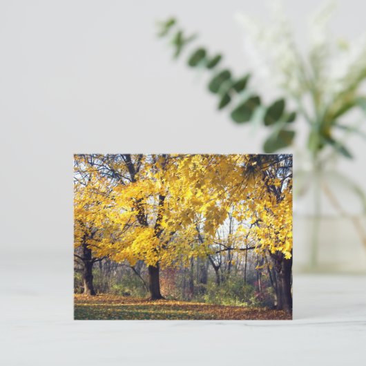 Kaisergranat Postkarte (Stehend Vorderseite)