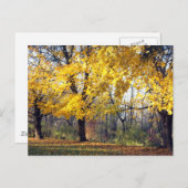 Kaisergranat Postkarte (Vorne/Hinten)