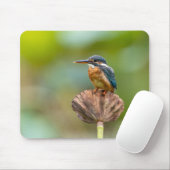 Kaiserin, Tier, Natur Mousepad (Mit Mouse)