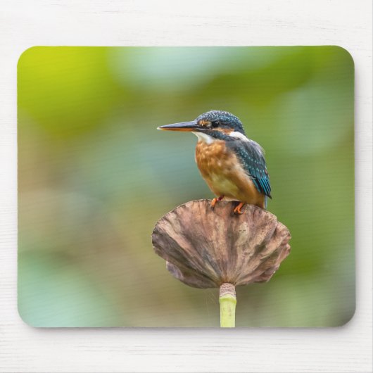 Kaiserin, Tier, Natur Mousepad (Vorne)