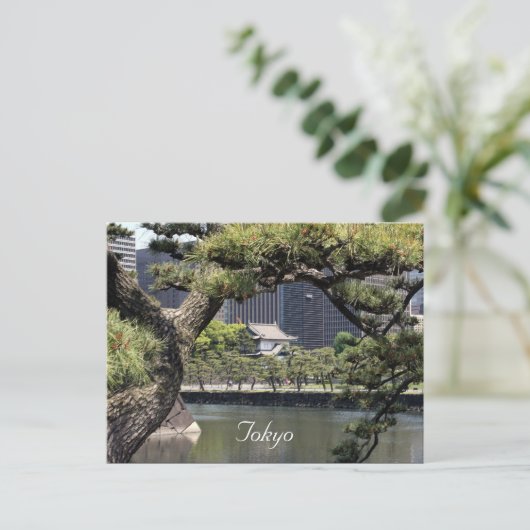 Kaiserkomplex Postkarte (Stehend Vorderseite)