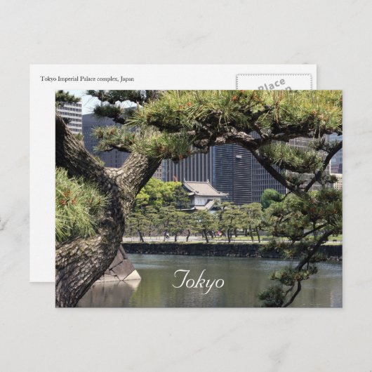 Kaiserkomplex Postkarte (Vorne/Hinten)