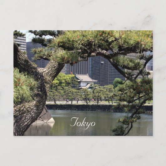 Kaiserkomplex Postkarte (Vorderseite)