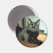 Kaiserliche Kitty Magnet (Vorderseite/Rückseite)