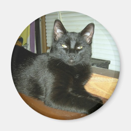 Kaiserliche Kitty Magnet (Vorne)