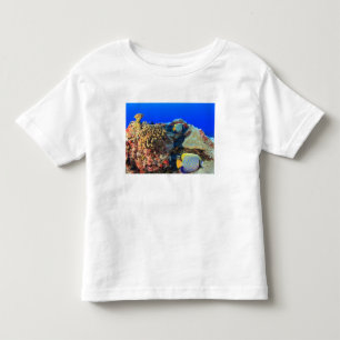 Kaiserlicher Engelfisch Pygoplites diacanthus), Kleinkind T-shirt