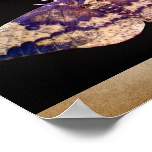 Kaisermond Poster (Ecke)