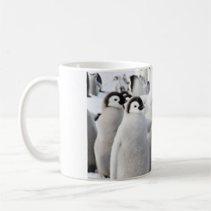 Kaiserpenguin-Küken-Tasse Kaffeetasse