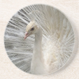 Kaiserpfau Getränkeuntersetzer