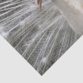 Kaiserpfau Seidenpapier (Ausschnitt)