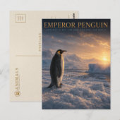 Kaiserpinguin Antarktiseis TIERE Postkarte (Vorne/Hinten)