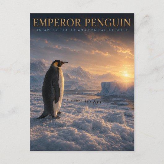 Kaiserpinguin Antarktiseis TIERE Postkarte (Vorderseite)