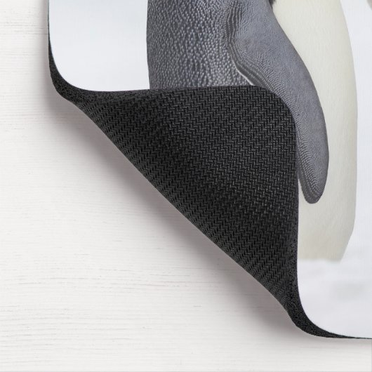 Kaiserpinguin (Aptenodytes forsteri), Küken Mousepad (Ecke)