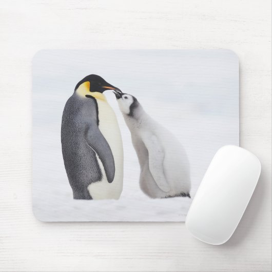 Kaiserpinguin (Aptenodytes forsteri), Küken Mousepad (Mit Mouse)