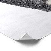 Kaiserpinguin (Aptenodytes forsteri), Küken Poster (Ecke)