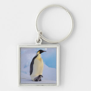 Kaiserpinguin   Aptenodytes Schlüsselanhänger