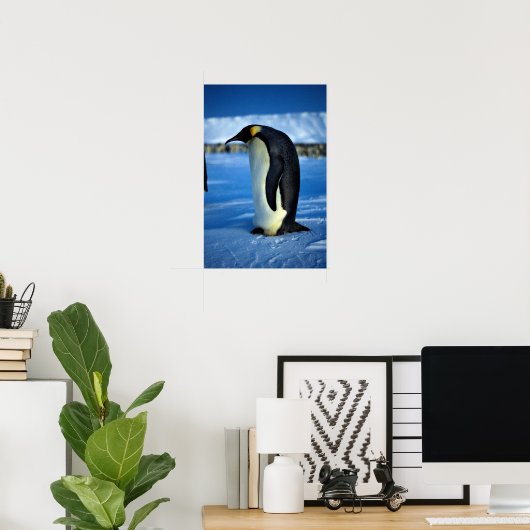 Kaiserpinguin im Mondlicht Poster (Heimbüro)