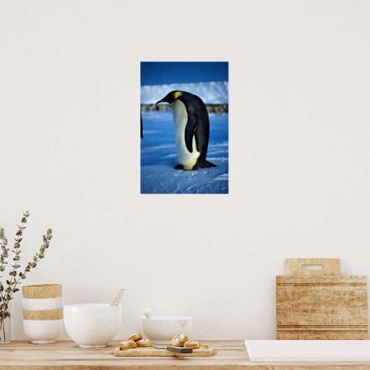 Kaiserpinguin im Mondlicht Poster (Küche)