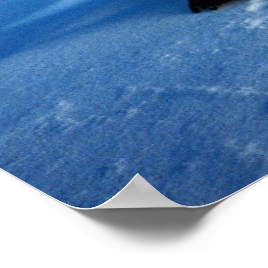 Kaiserpinguin im Mondlicht Poster (Ecke)