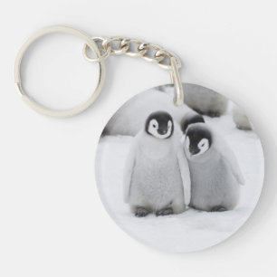 Kaiserpinguin-Küken auf Eis in der Antarktis Schlüsselanhänger