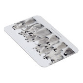 Kaiserpinguin Magnet (Rechte Seite)