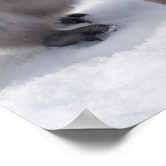 Kaiserpinguin mit Poster für Küken (Ecke)