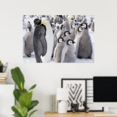Kaiserpinguin mit Poster für Küken (Heimbüro)