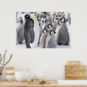 Kaiserpinguin mit Poster für Küken (Küche)