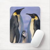 Kaiserpinguine (Aptenodytes forsteri) Erwachsene Mousepad (Mit Mouse)