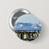 Kaiserpinguine Button (Vorne & Hinten)