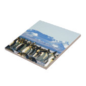 Kaiserpinguine Fliese (Seite)